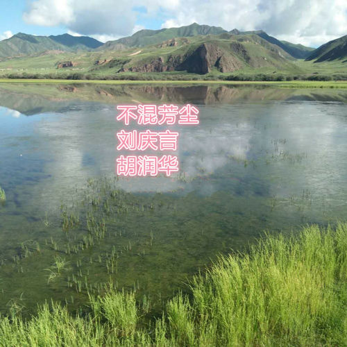 不混芳尘