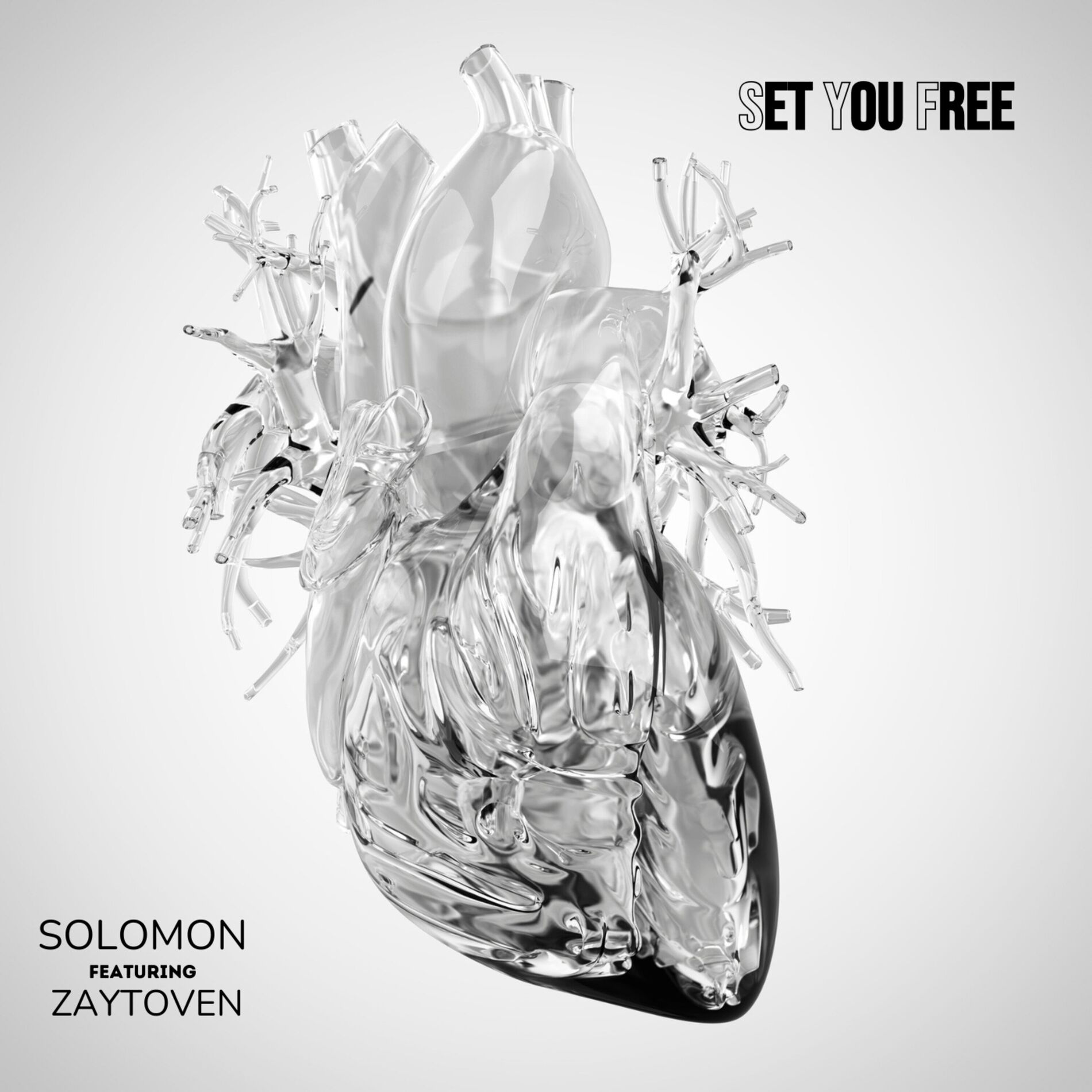 Album cover of Set You Free