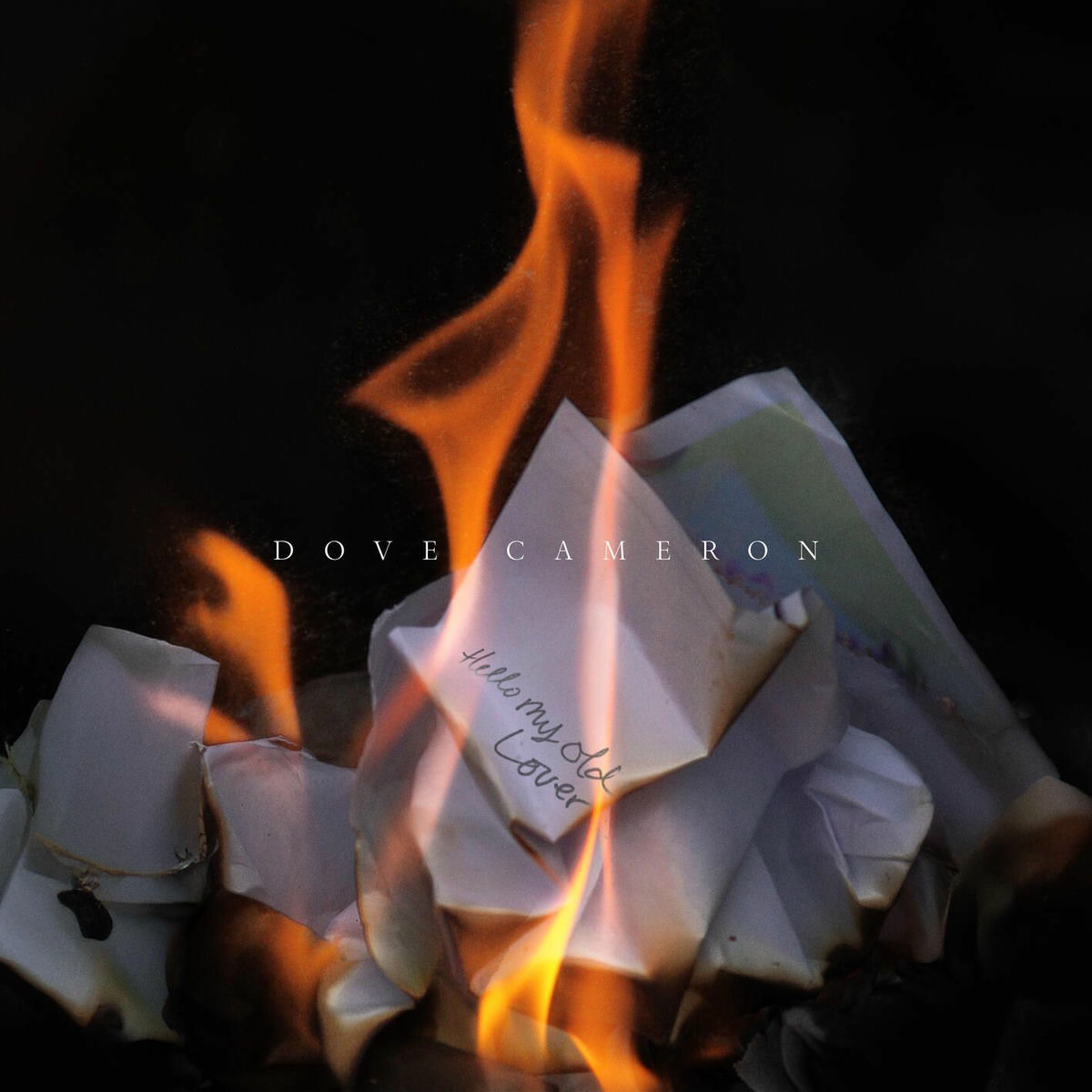 Album cover of Hello My Old Lover