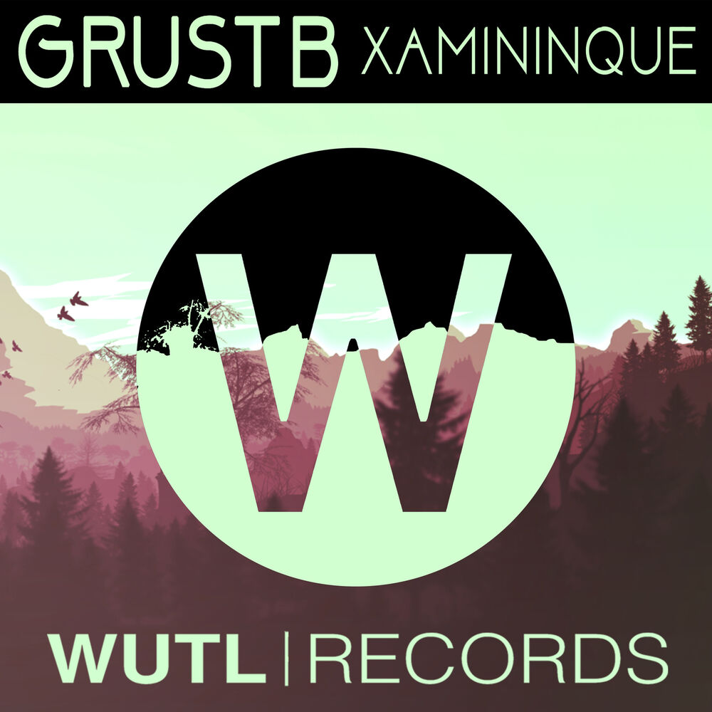 Picture of Xamininque