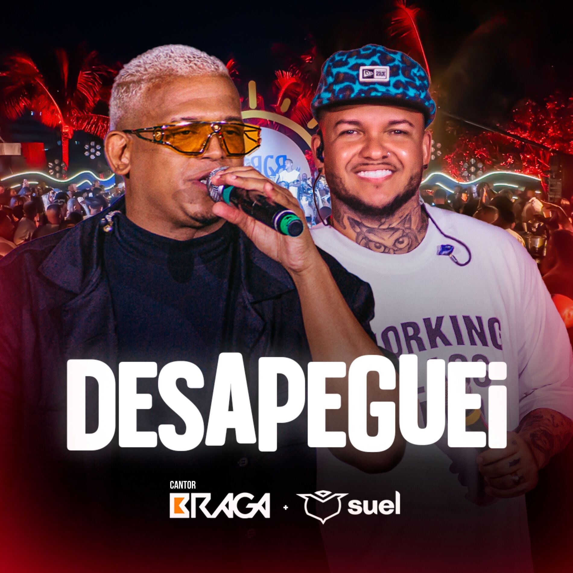 Album cover of Desapeguei