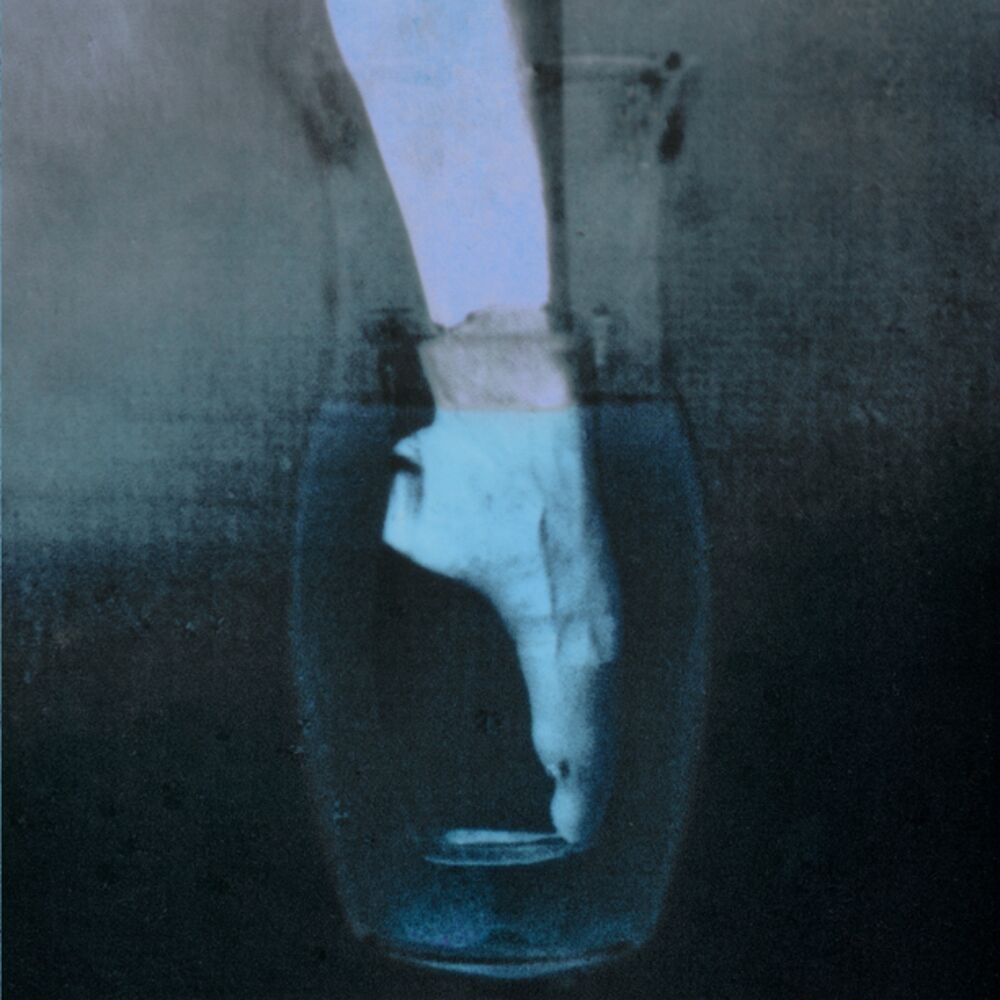 Picture of The Shape of the Dance