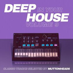 Deep in Your House (Vol 9 - Classic Hits Selected by Muttonheads)