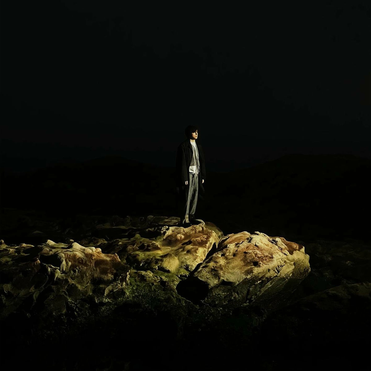 Album cover of McDonald's