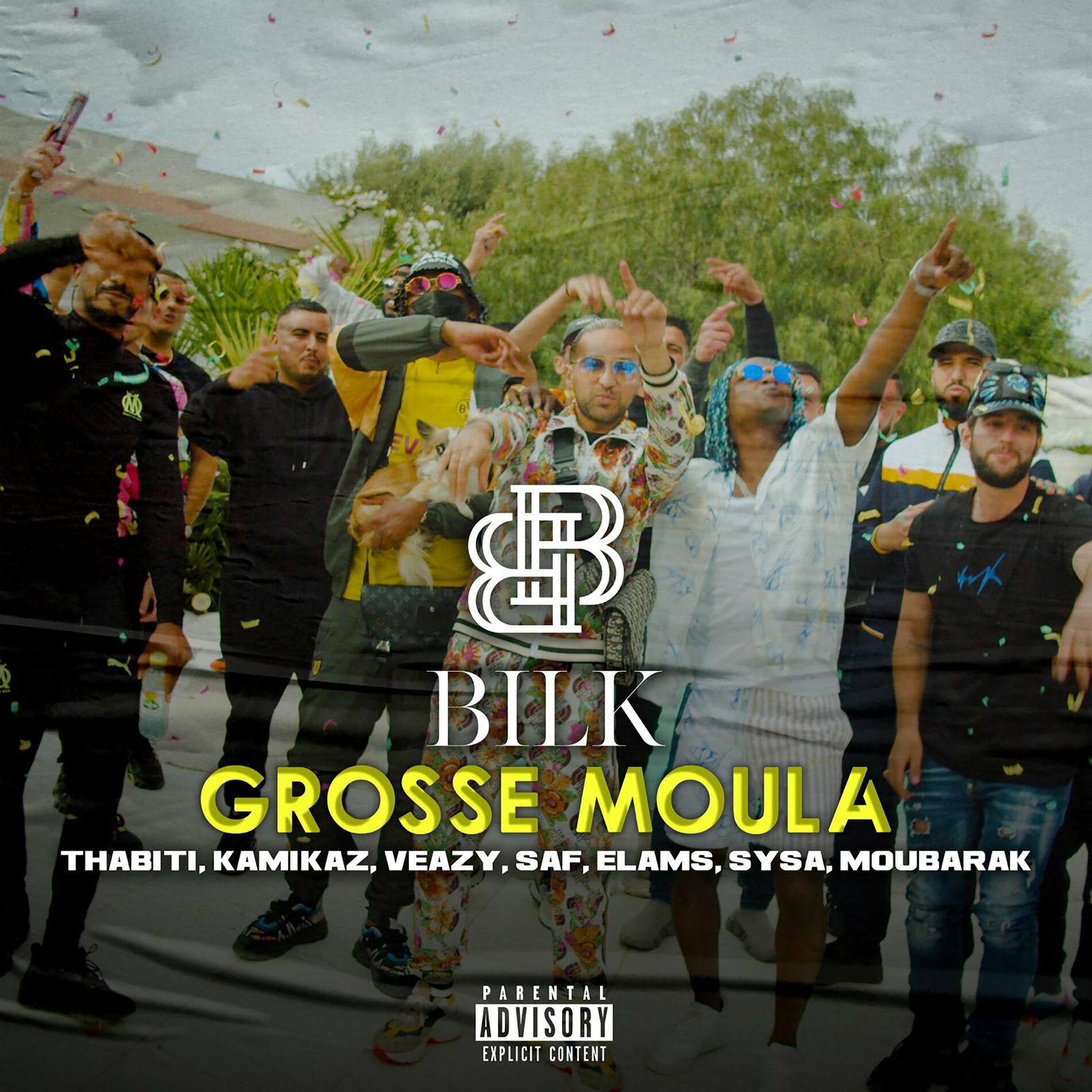 Album cover of Grosse moula