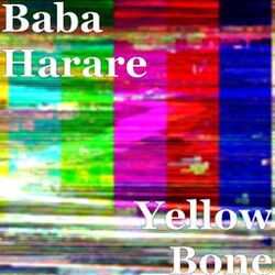 Cover of Yellow Bone