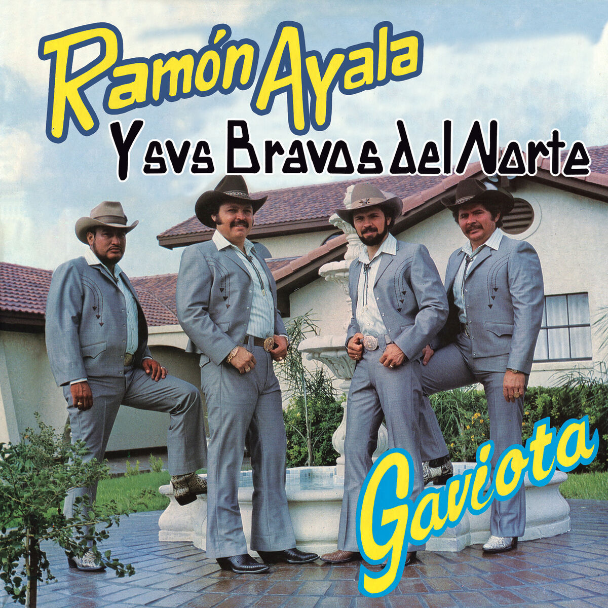 Album cover of Gaviota