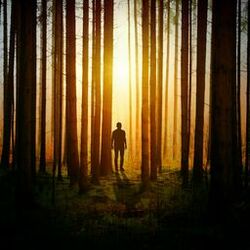 Cover of Shutter