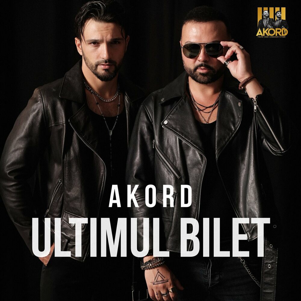 Picture of Ultimul Bilet