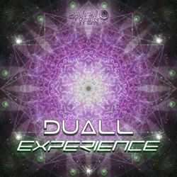 Cover of Experience