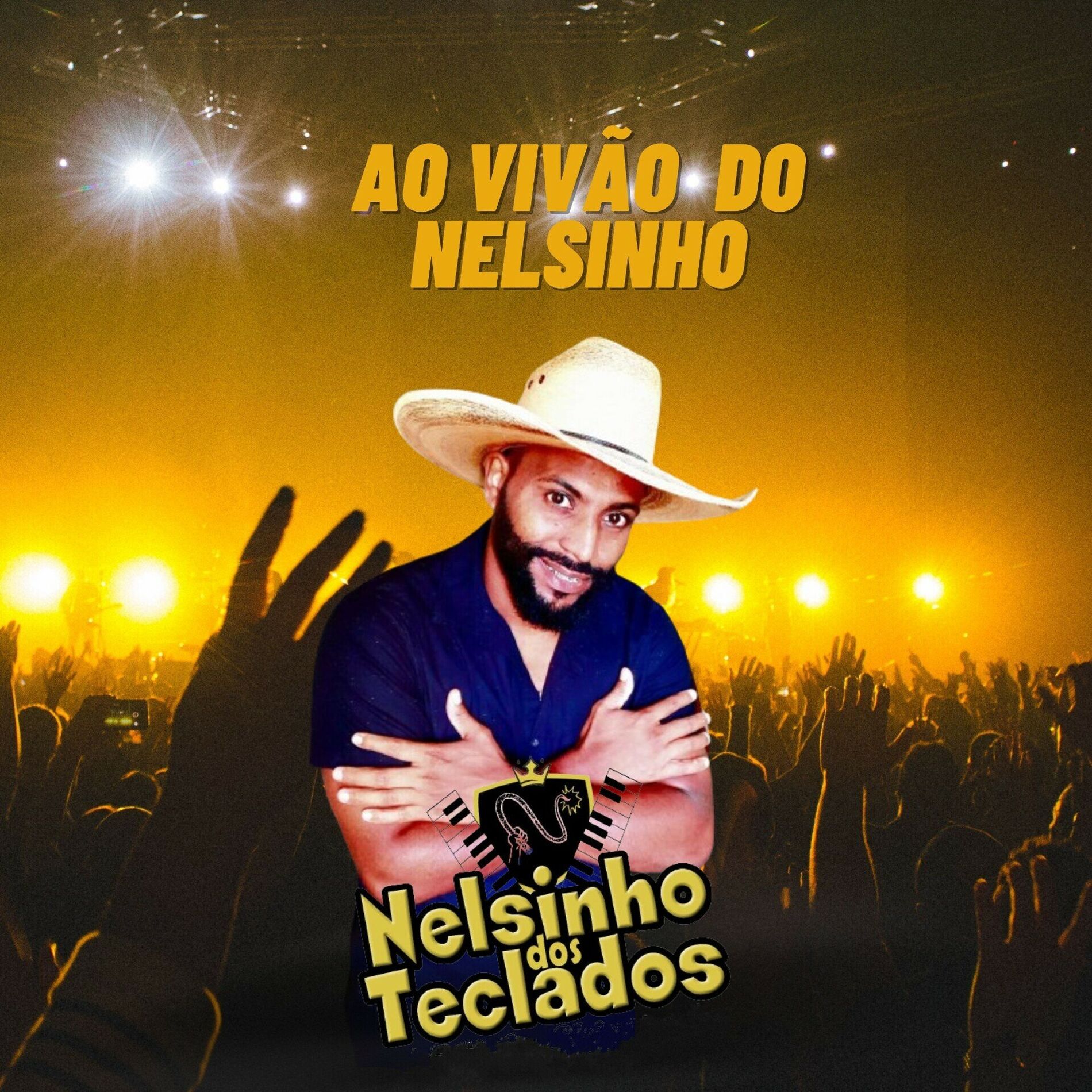 Album cover of Ao Vivão do Nelsinho