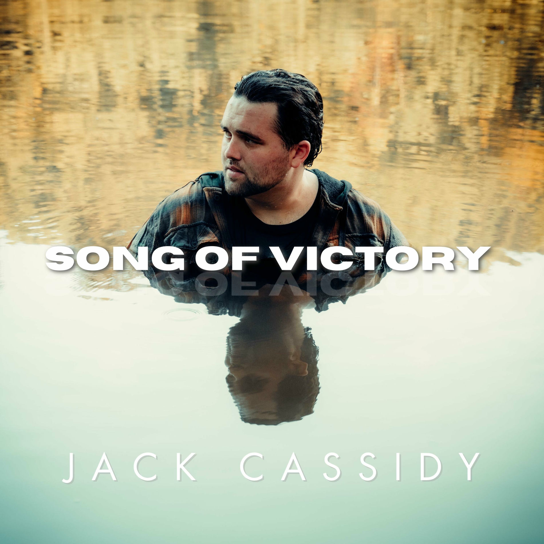 Album cover of Song Of Victory