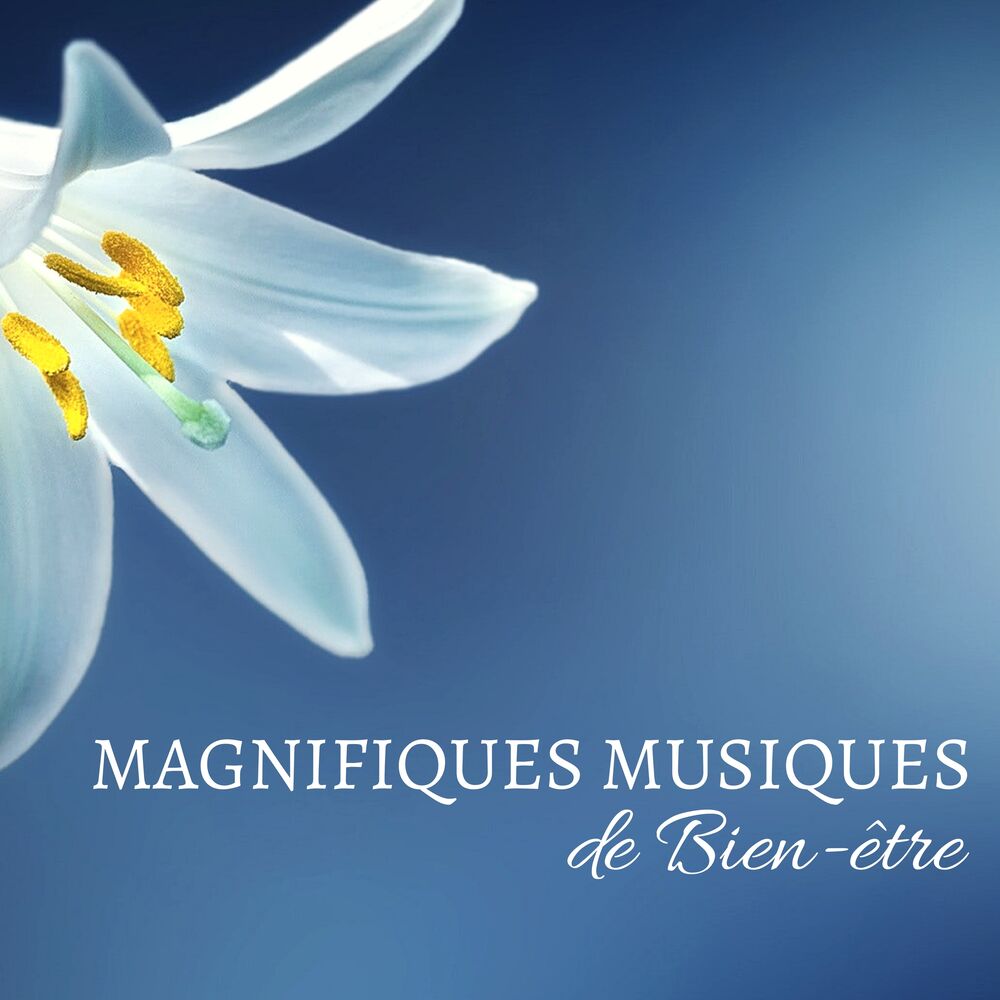 Picture of Magnifiques Musiques de Bien-être - La plus belle musique douce du monde