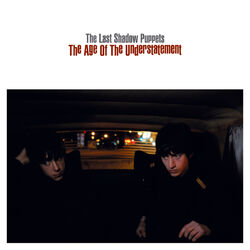 Cover of The Age Of The Understatement