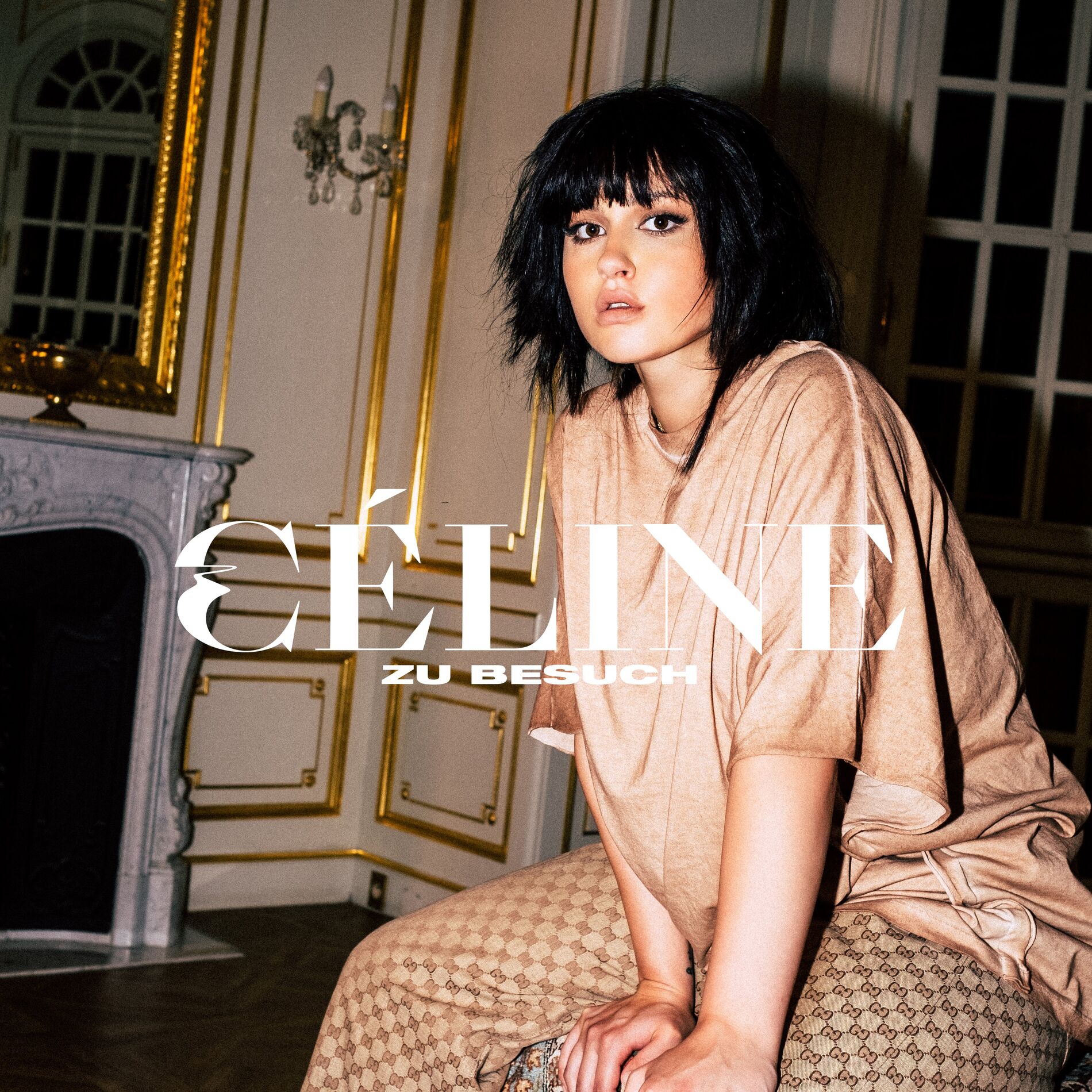 Album cover of Zu Besuch