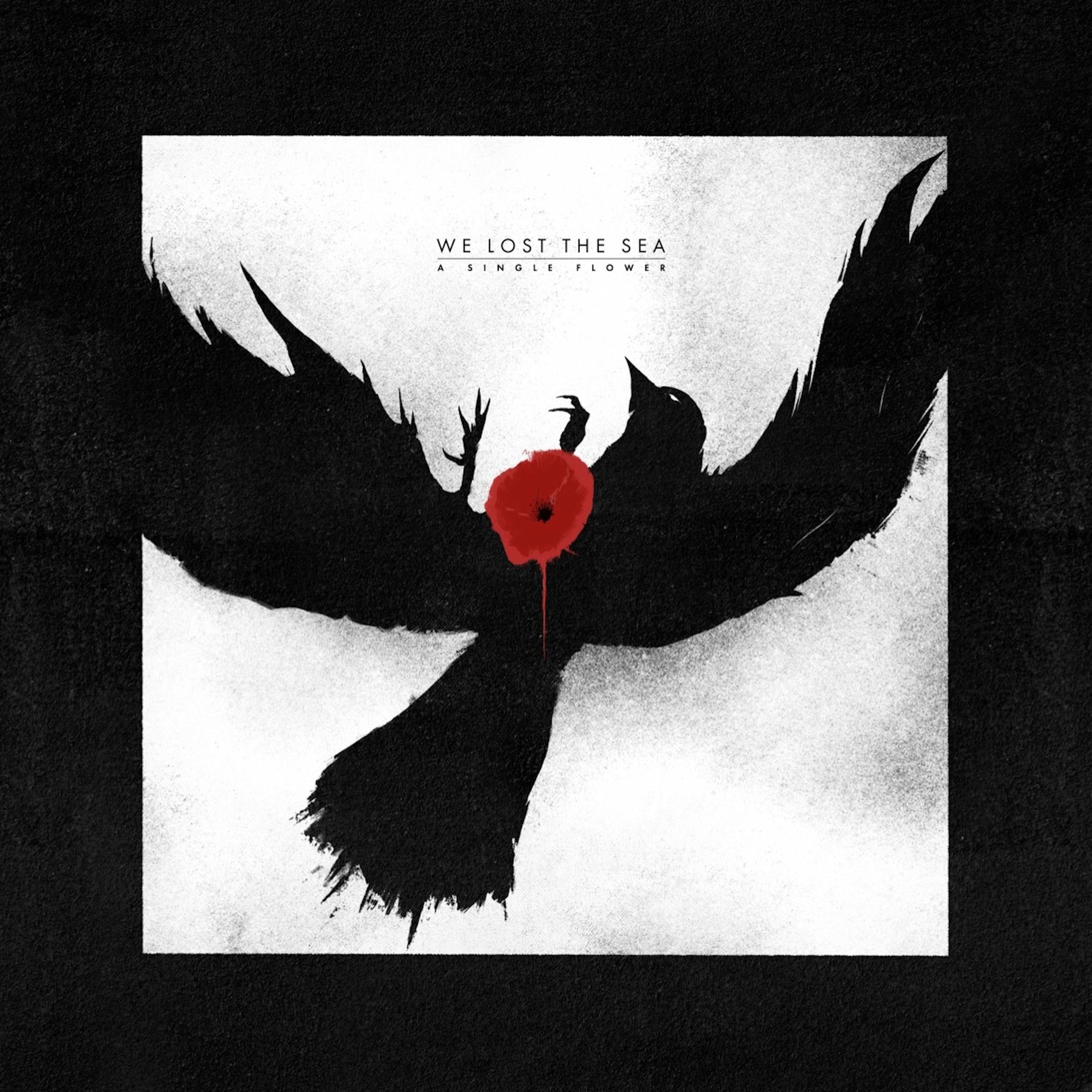 Album cover of A Single Flower