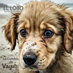 Cover of La Cumbia de Vaguito