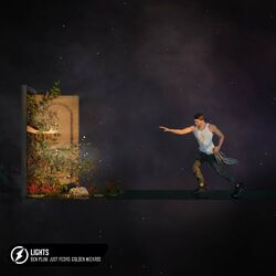 Cover of Lights