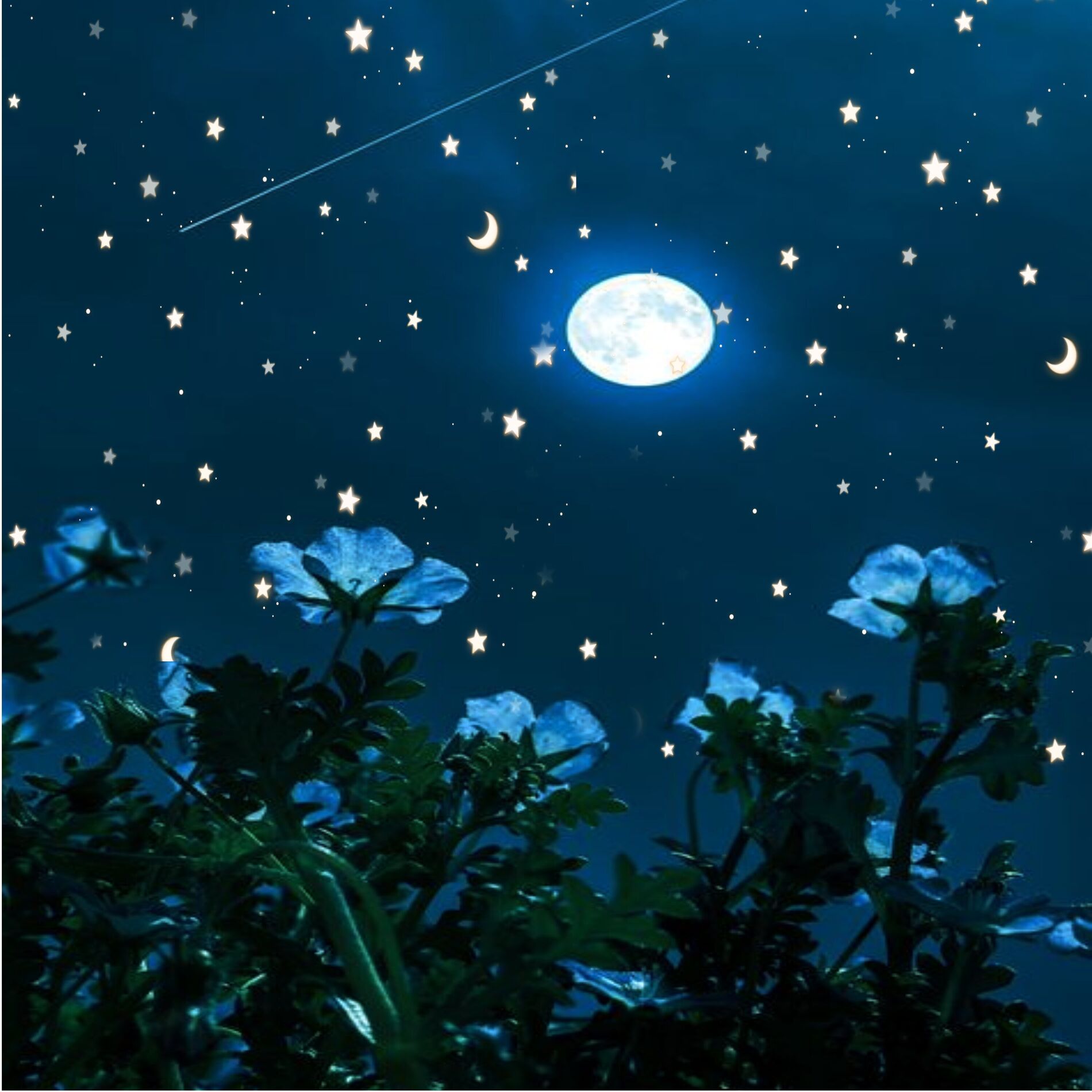 Album cover of pry