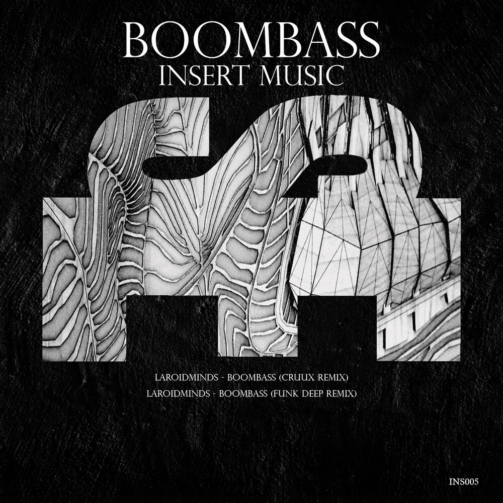 Picture of BoomBass