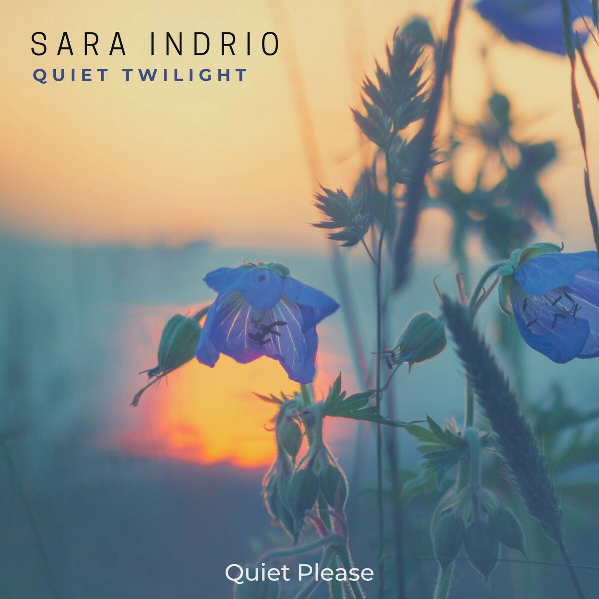 Album cover of Quiet Twilight