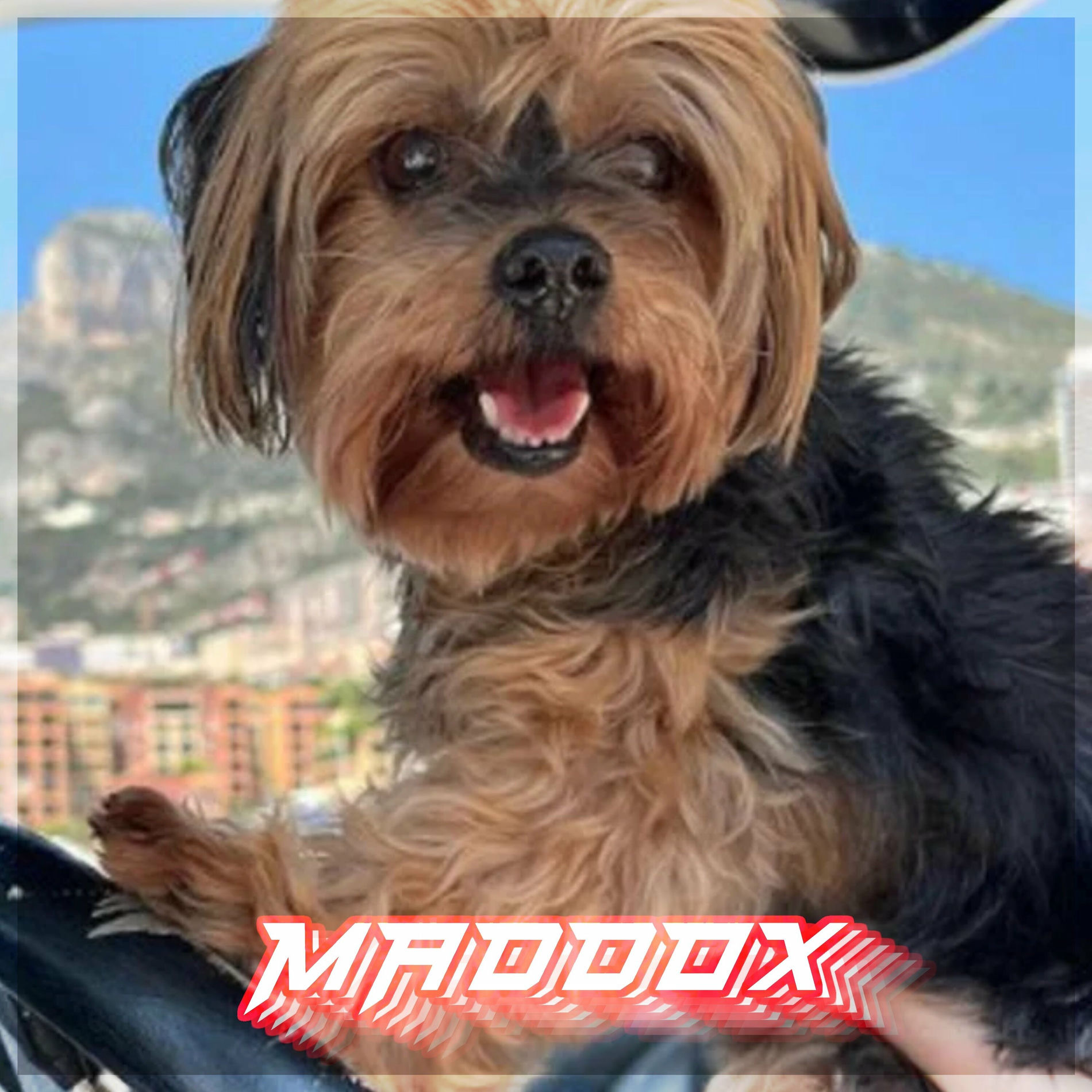 Album cover of Die Geissens Techno (Maddox Song)