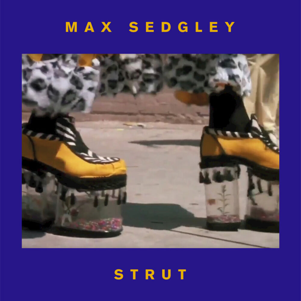 Picture of Strut