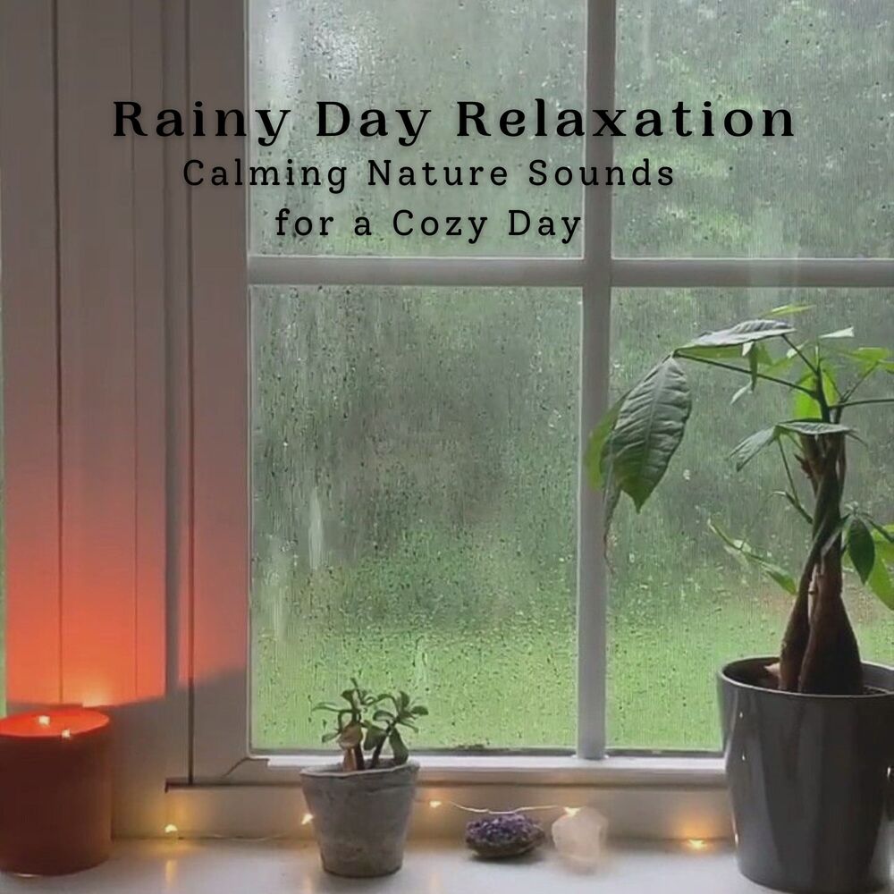 Picture of Rainy Day Relaxation: Calming Nature Sounds for a Cozy Day