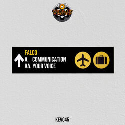 Cover of Your Voice / Communication