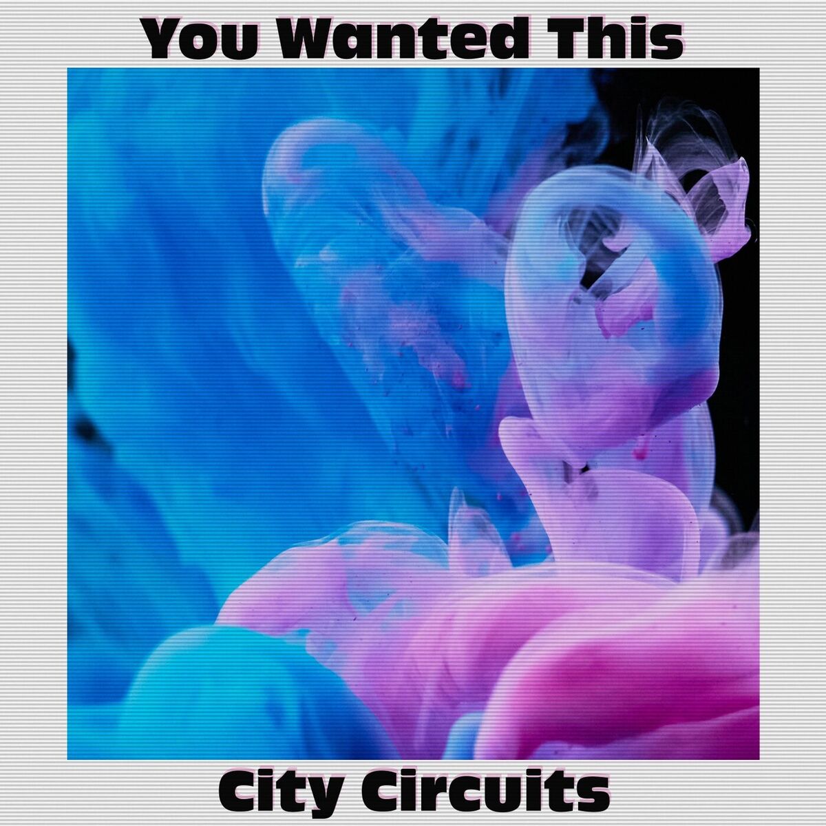 Album cover of You Wanted This