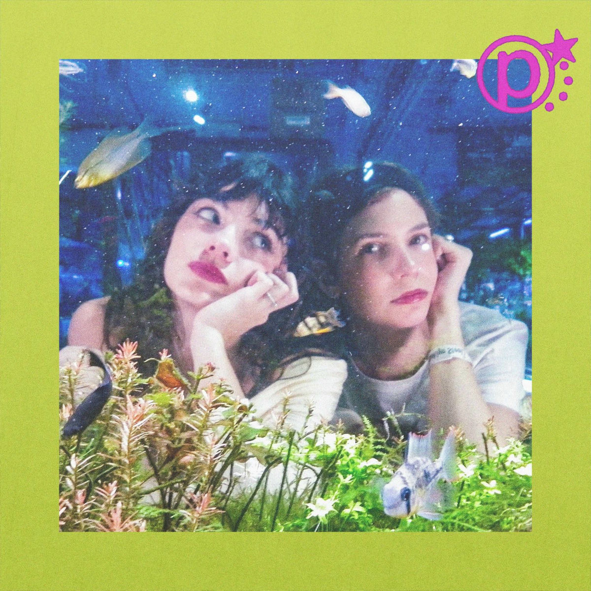Album cover of Fixer Upper