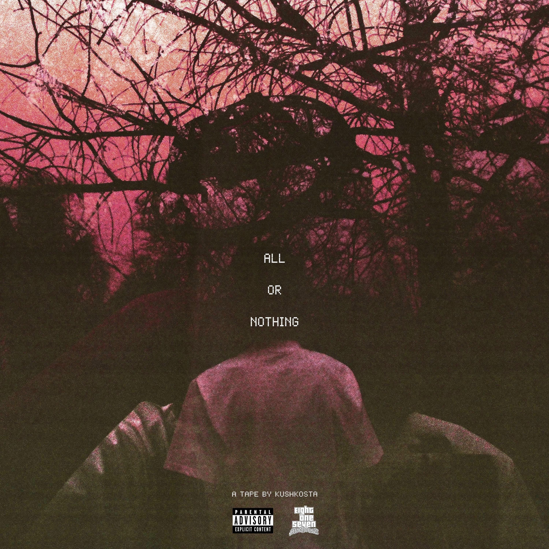 Album cover of All or Nothing