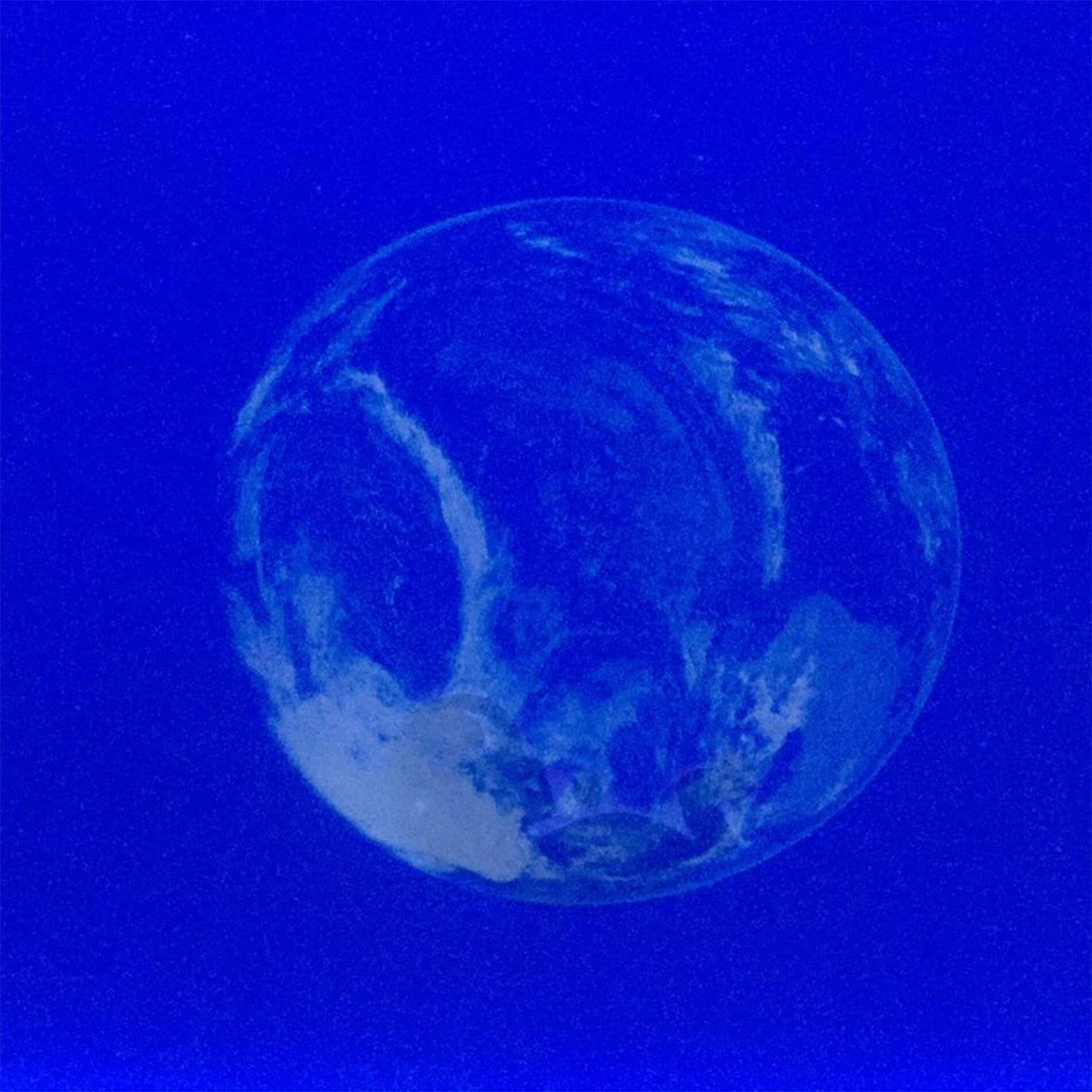 Album cover of Ocean Mind