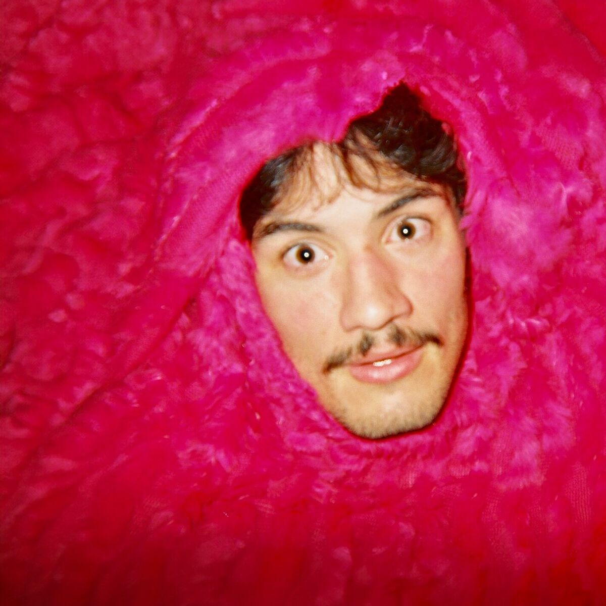 Album cover of Baked Alaska
