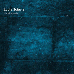 Cover of Napoli's Walls