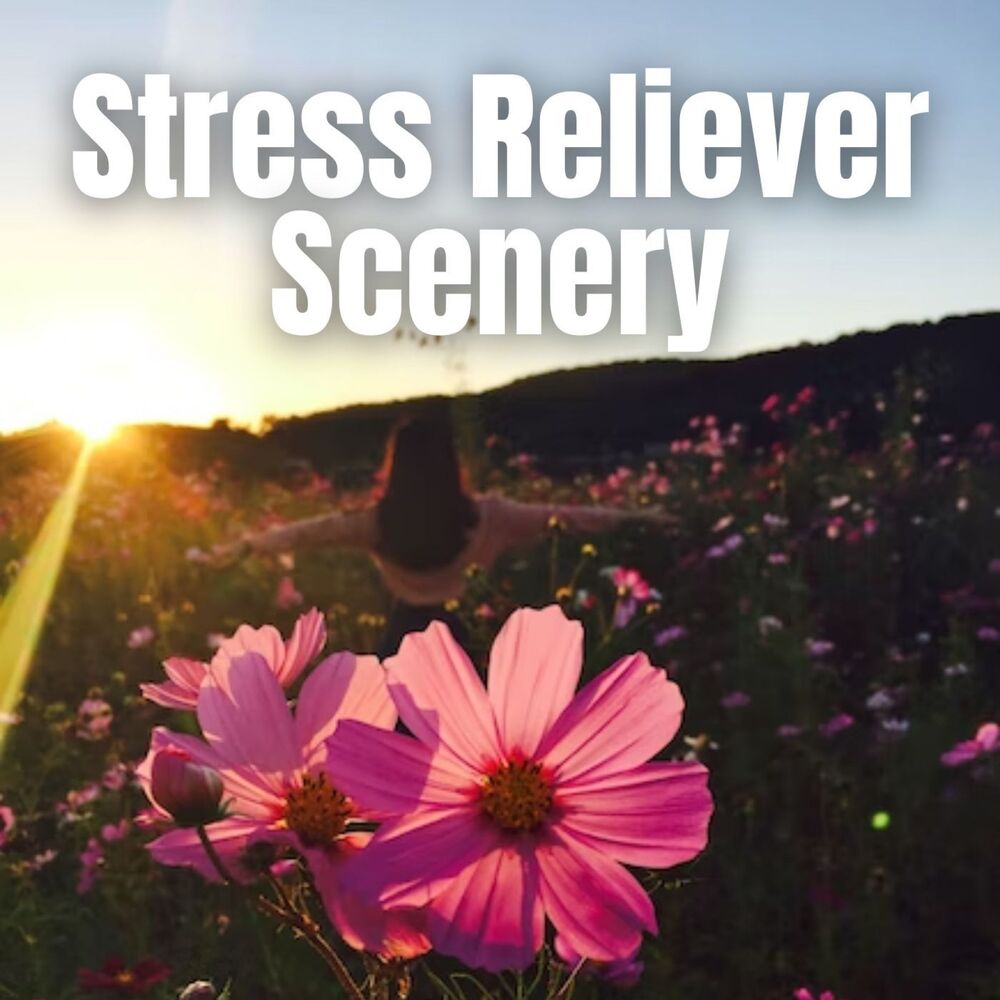 Picture of Stress Reliever Scenery