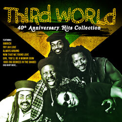 Cover of 40th Anniversary Hits Collection