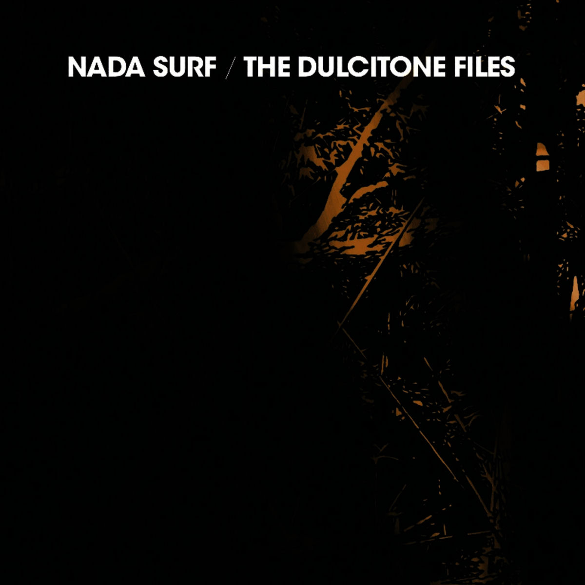 Album cover of The Dulcitone Files / The Stars are Indifferent to Astronomy Acoustic EP
