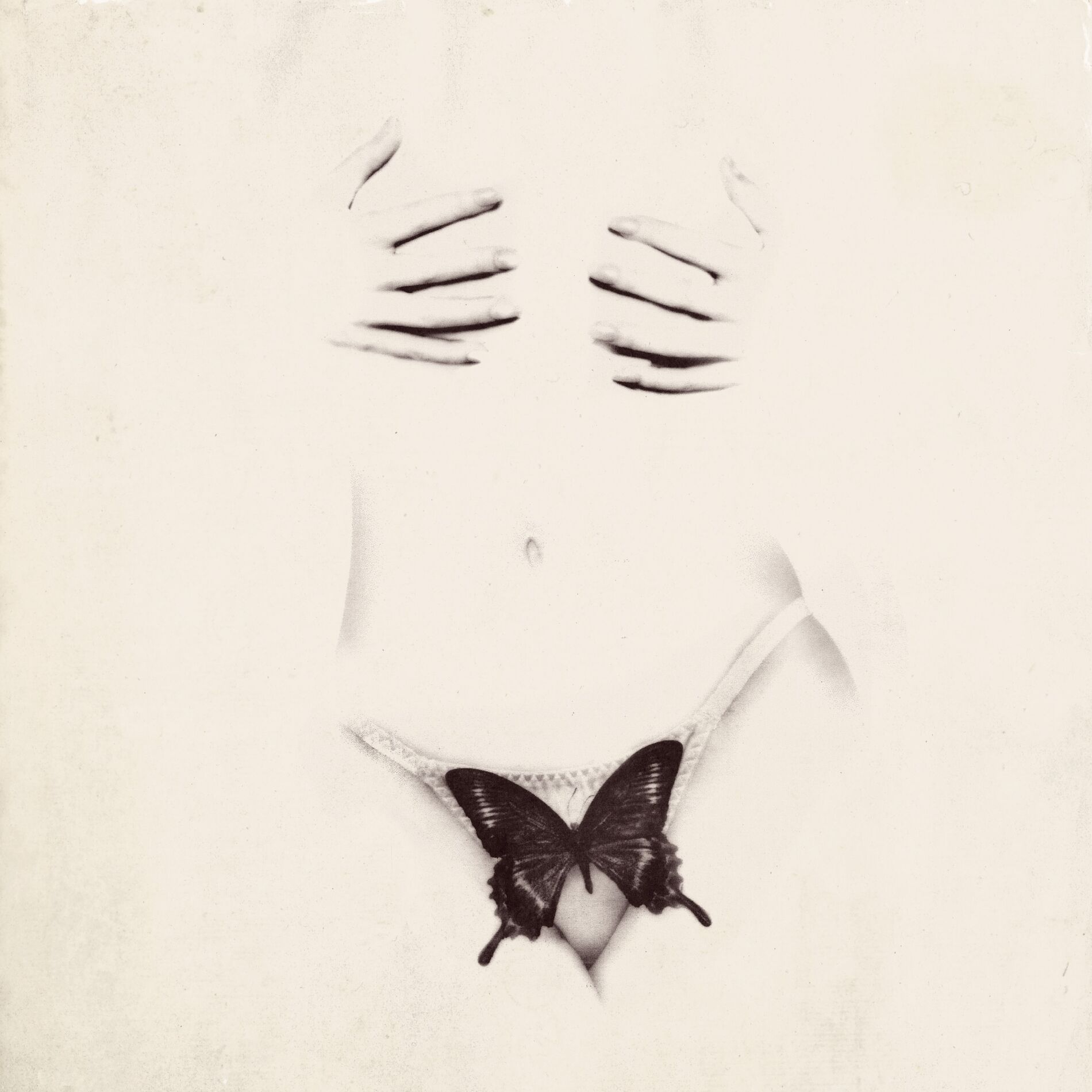 Album cover of BUTTERFLY