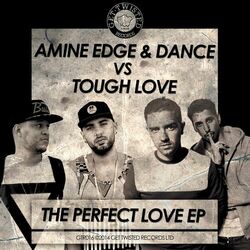 Cover of The Perfect Love
