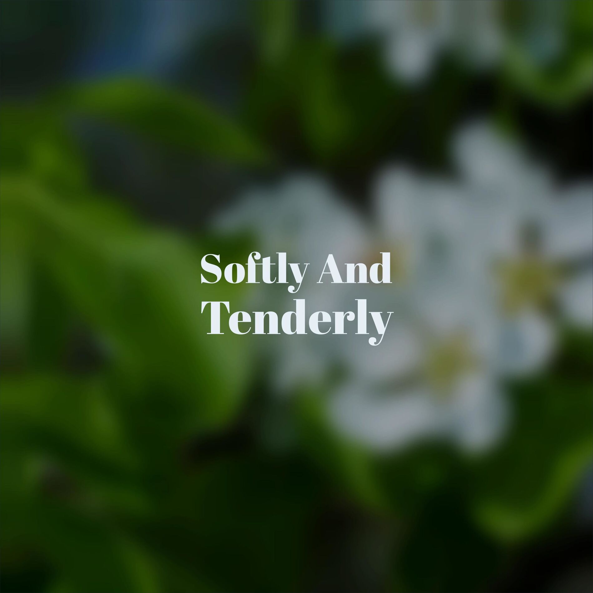 Album cover of Softly And Tenderly