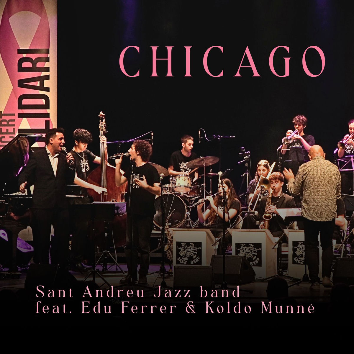 Album cover of Chicago