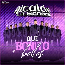 Cover of Que bonito bailas