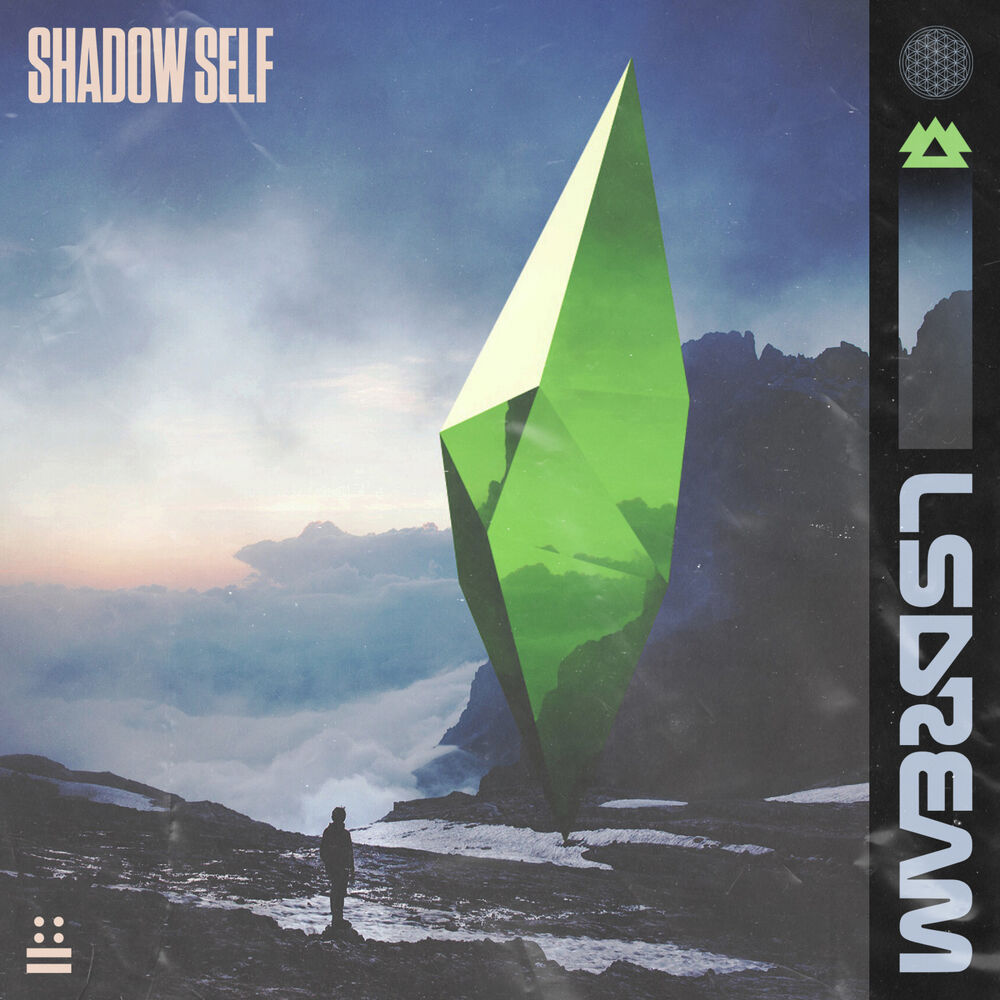 Picture of SHADOW SELF