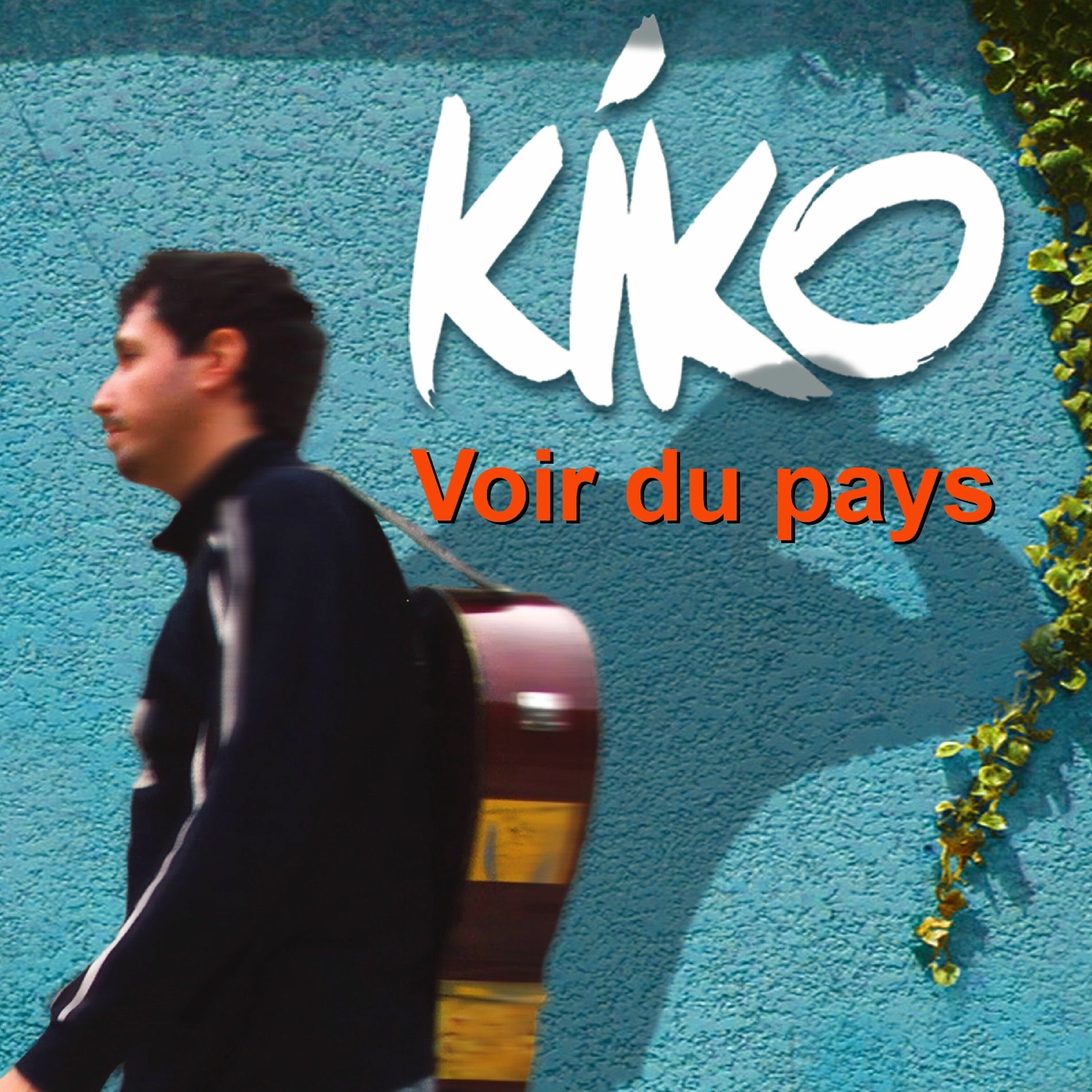 Album cover of Voir du pays