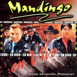 Cover of En Vivo Desde Asunción, Paraguay 2001