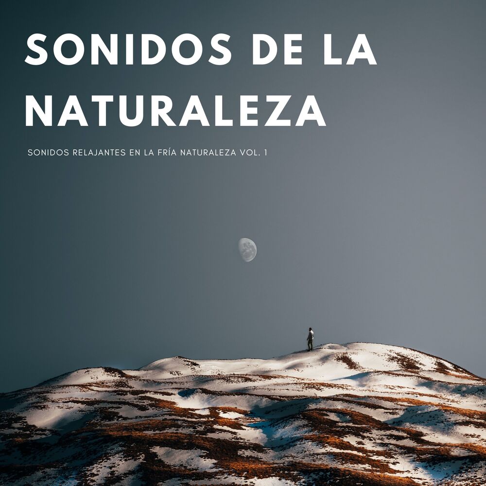 Picture of Sonidos De La Naturaleza: Sonidos Relajantes En La Fría Naturaleza Vol. 1
