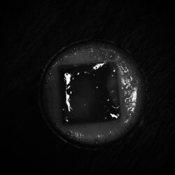 Cover of Till I Go Numb