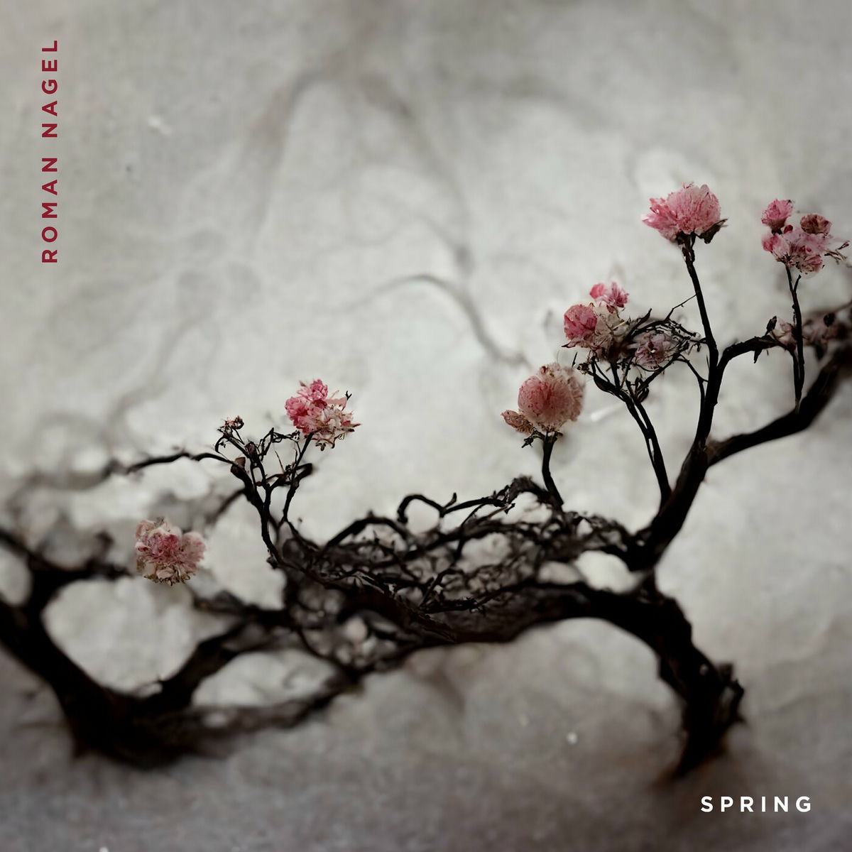 Album cover of Spring