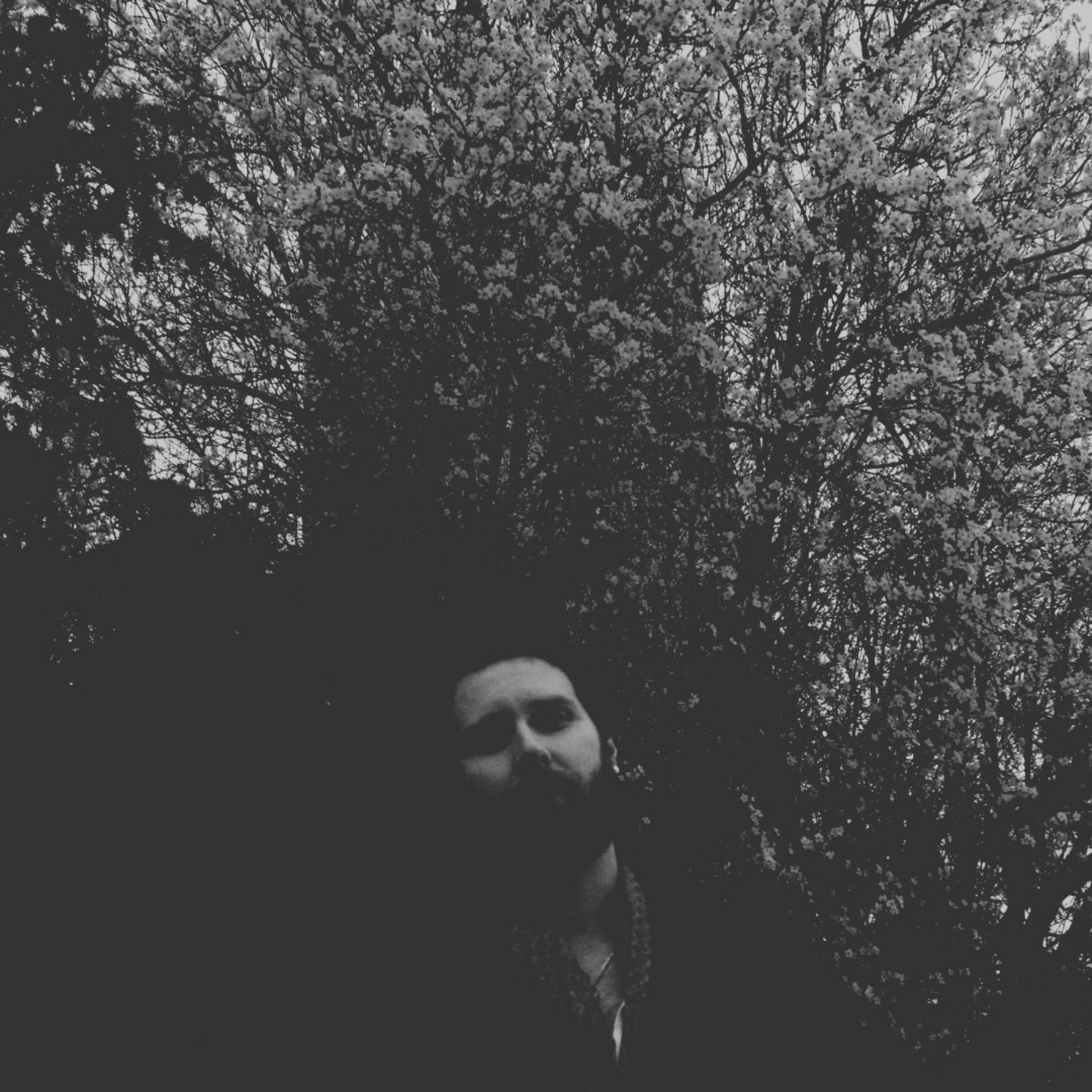 Album cover of Delicate (feat. Didacte) [Piano Version]